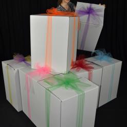 Baby Boy Sparkle Surprize