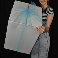 Baby Boy Sparkle Surprize