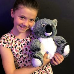 Koala bear fluffy toy