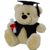 Graduation Teddy Bear 23cm