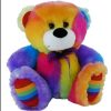 rainbow teddy 27cm